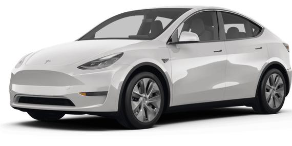 TESLA MODEL Y 2024 7SAYGDEE7RF009743 image